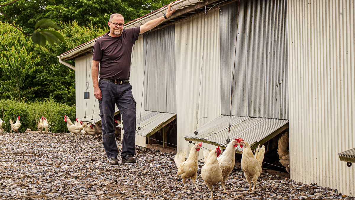 Lars Bredahl står ved en af sine stalde og ser på sine høns