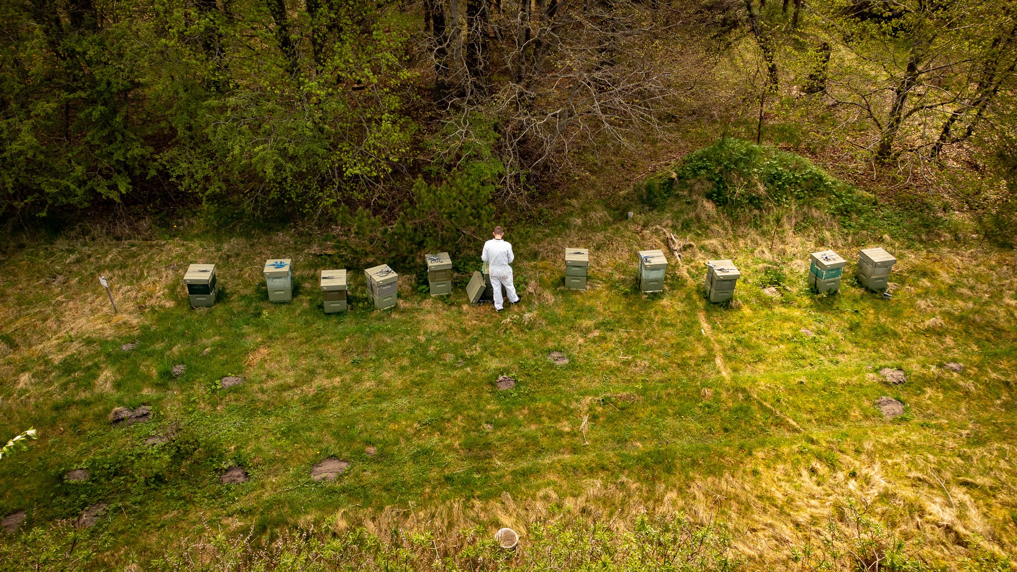 Mathias Hvam må ofte køre langt for at finde en placering til øko-bierne. Her står staderne ved Stråsø Naturnationalpark ved Ulfborg