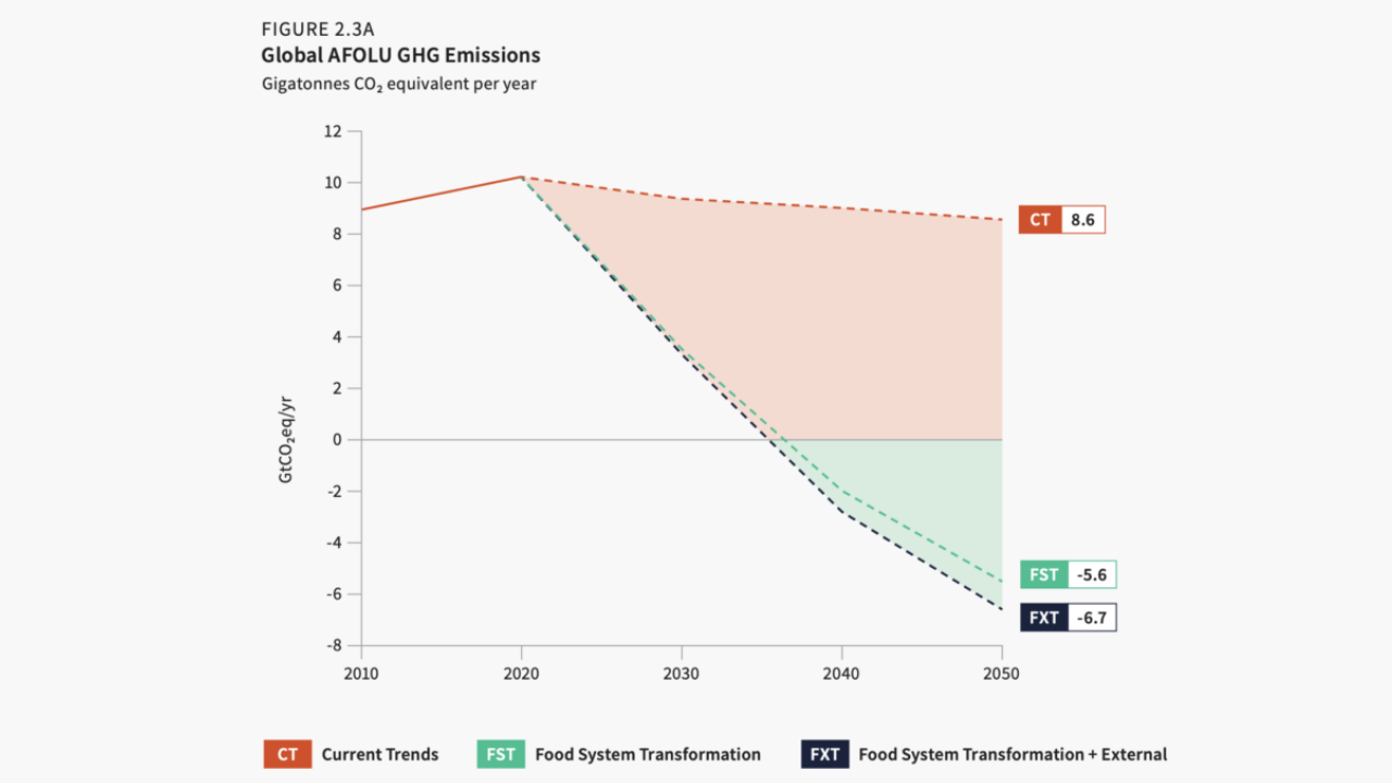 Figuren viser, at hvor den nuværende retning for landbruget ikke vil nedbringe drivhusgasudledningerne mærkbart frem mod 2050, vil en omstilling af landbruget (FST), som rapporten foreslår det, trække flere drivhusgasser ud af atmosfæren, end landbruget udleder. FXT-scenariet indebærer både en omstilling af landbruget og andre dele af samfundet, bl.a. udfasning af fossile brændstoffer og en lavere befolkningstilvækst end ventet