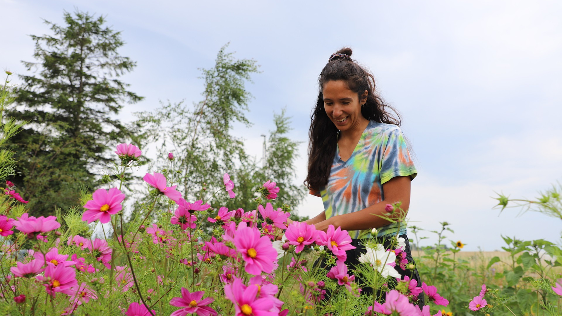 Agronom-uddannede Maite Jurado er glad for arbejdet med økologiske grøntsager og spiselige blomster som Stolt Kavaler (foto), men hun ser frem til at få bedre tid til at besøge familien i Spanien og få tryggere økonomiske rammer om familielivet, når familien ikke længere skal leve af indtægterne fra Hammersly