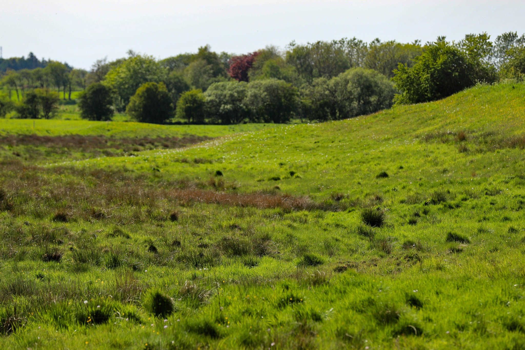 Afgræsningsareal - §3