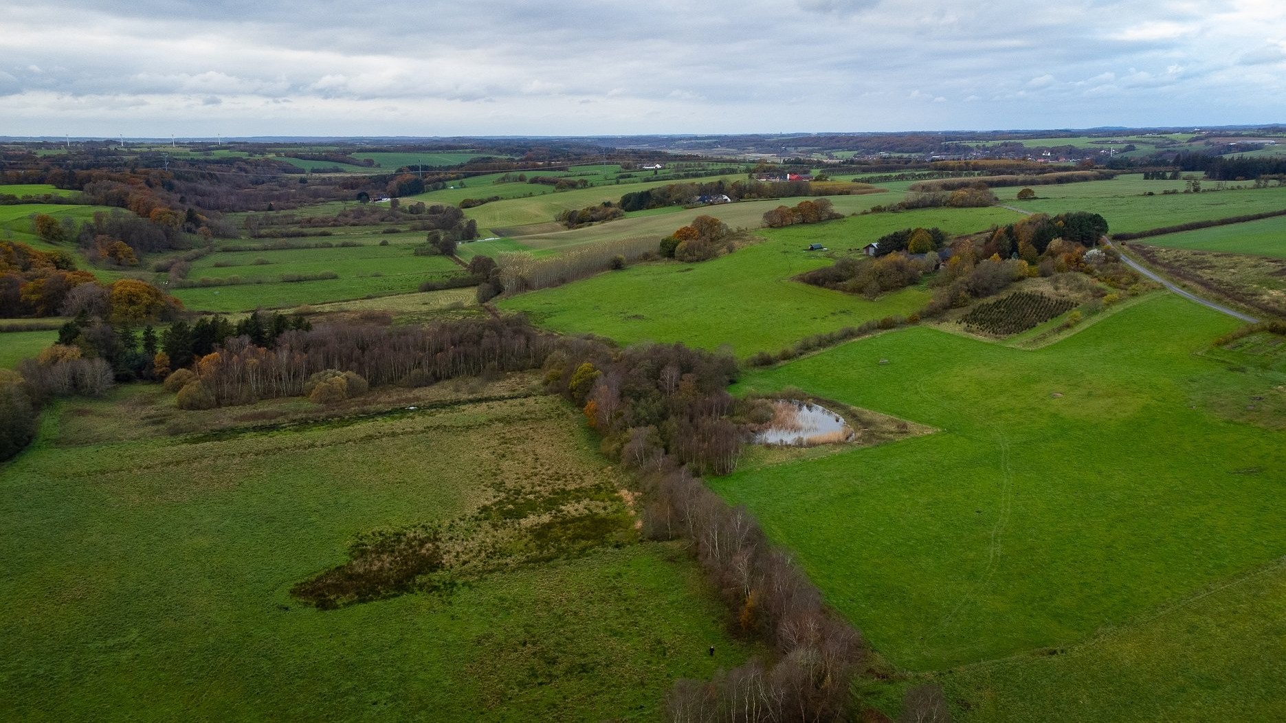 Et dronefoto viser lavbundsarealer