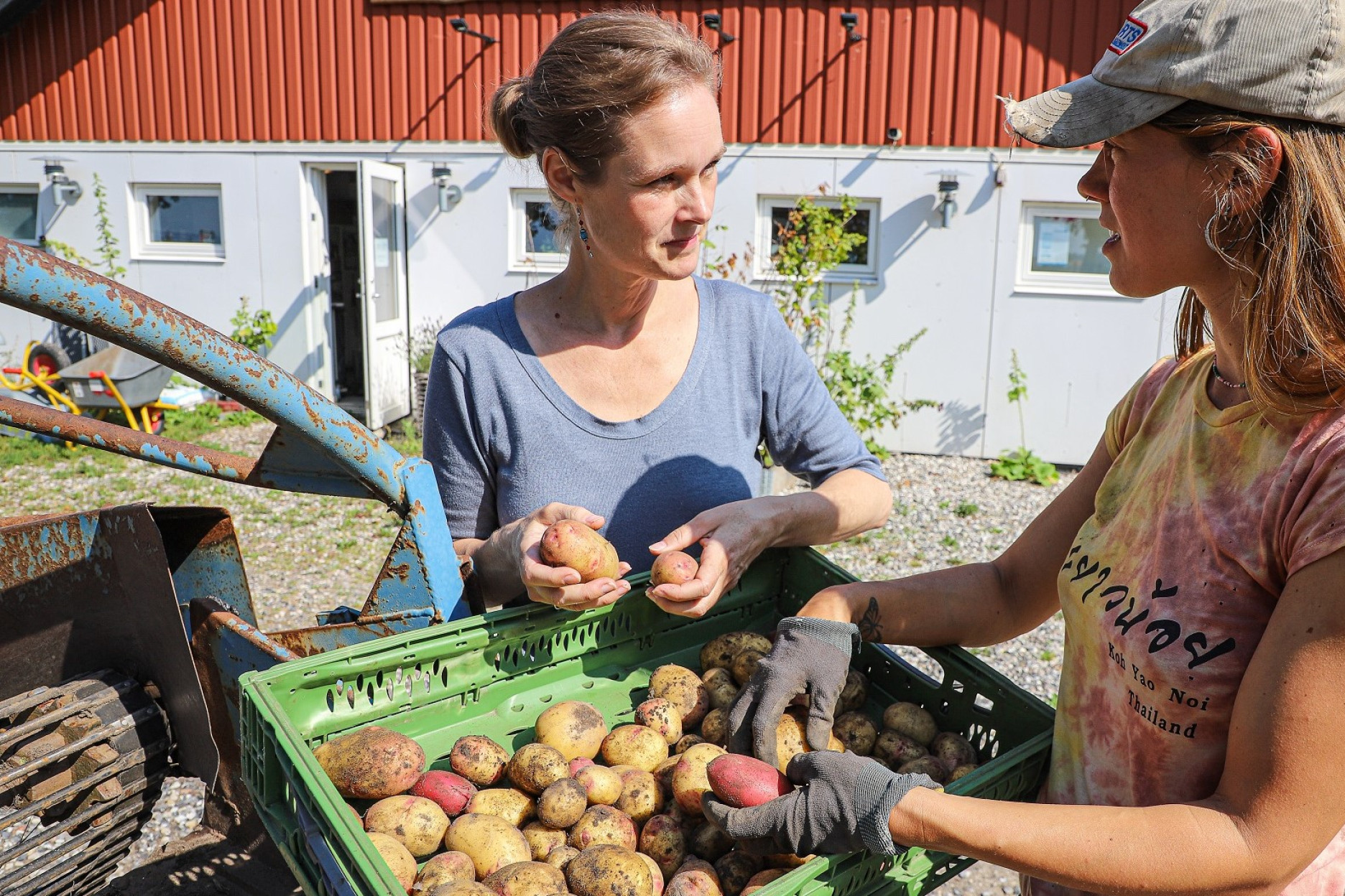 Julie Rohde Birk står med en elev og holder nogle kartofler på pladsen ude foran skolens gårdbutik