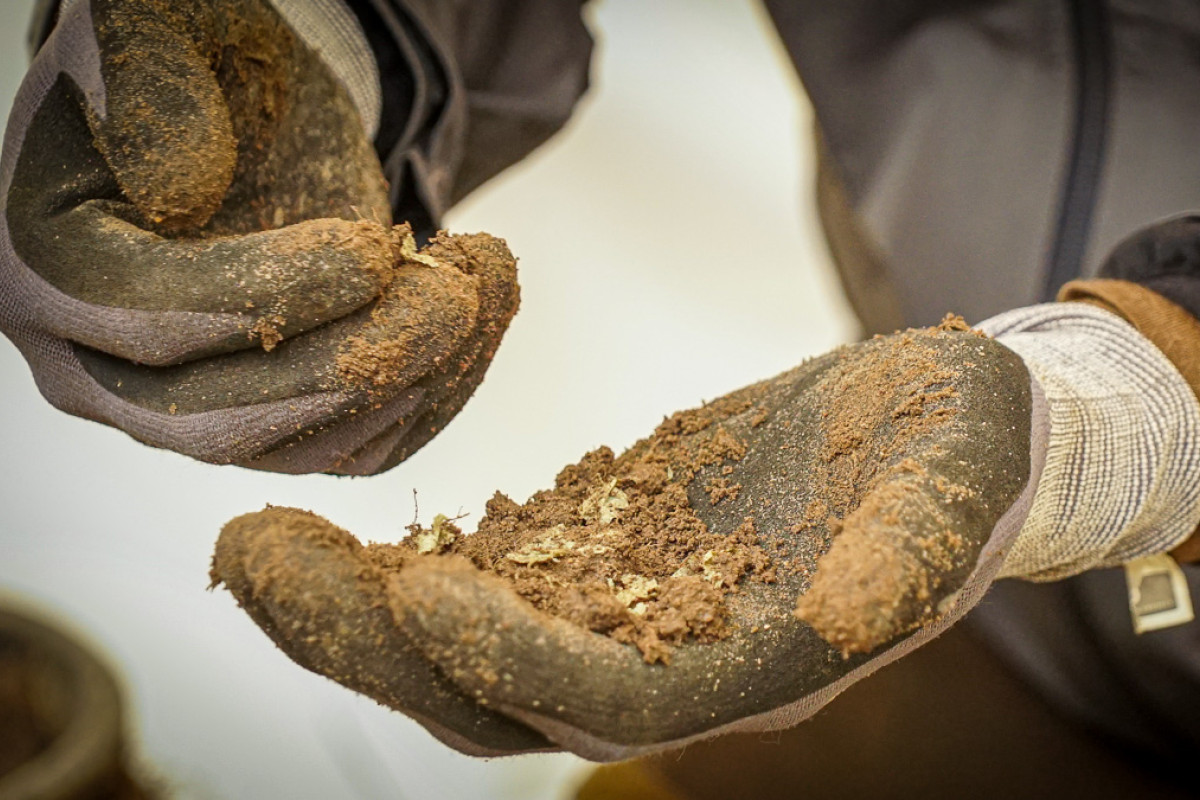 Hænder holder jord med rester fra en bionedbrydelig plastikpose