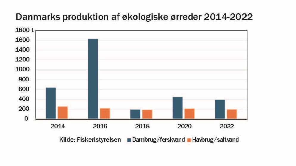 I år er det 20 år siden, at Danmark fik det første regelsæt for produktion af økologiske ørreder, og de følgende år blev flere dambrug omlagt til økologi. Produktion toppede i 2016 med en produktion på næsten 1.840 t. Siden er flere dambrug blevet lukket med støtte fra en dansk støtteordning, som skal bidrage til at nedbringe udledningen af kvælstof og fosfor til de danske vandløb og fjorde, og i 2022 var produktionen skrumpet til 580 t