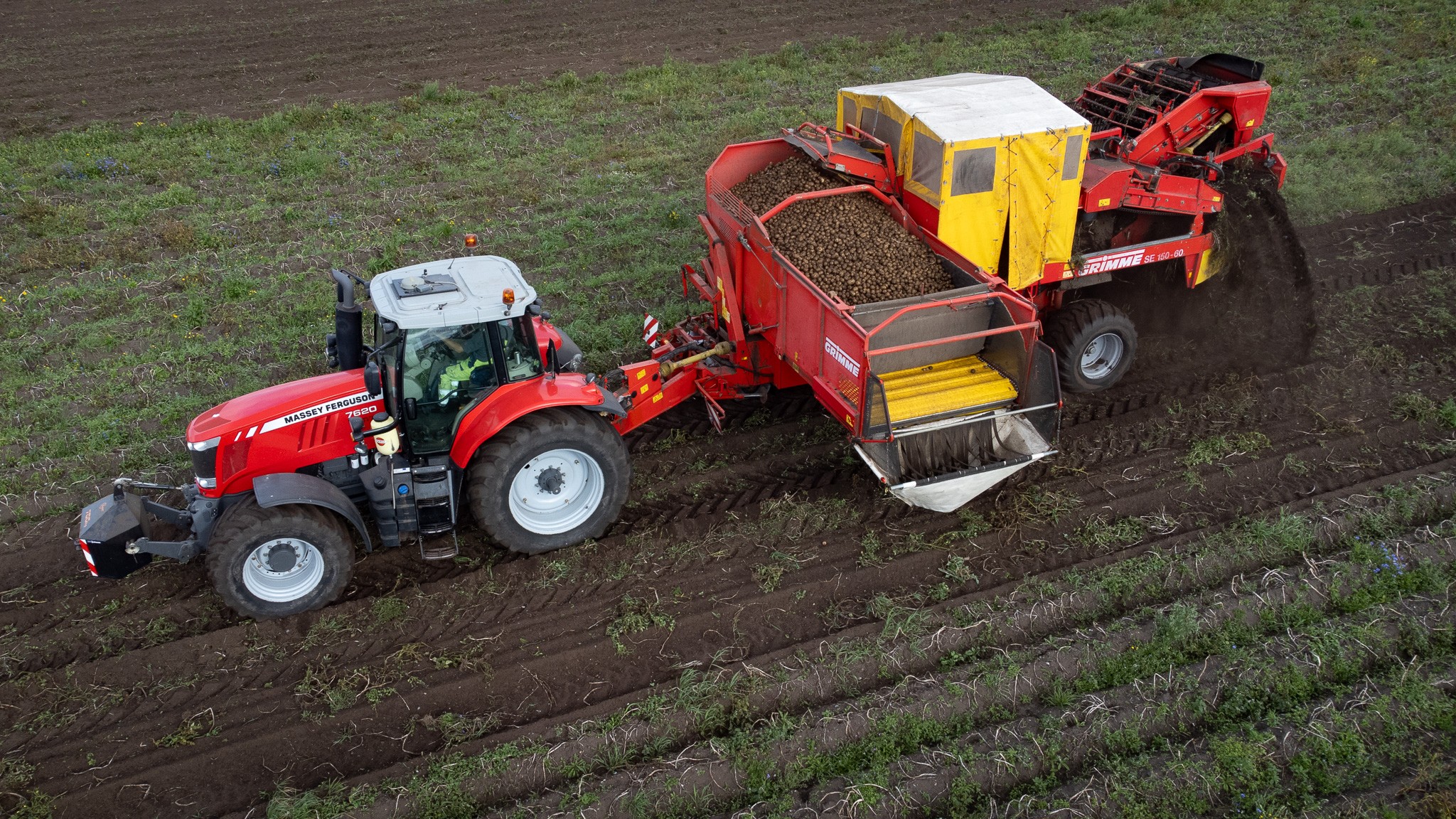 Her sluttede sæsonen for øko-spisekartofler den 21. august 2023 da de sidste blev taget op hos kartoffelavler Eskil Romme