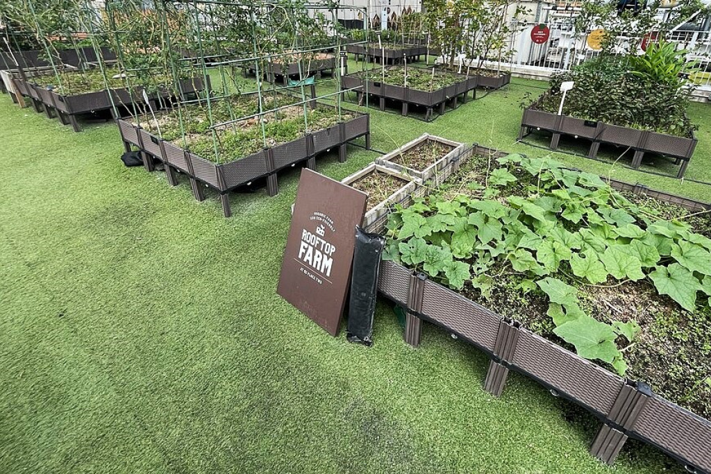 Urban Farming i Hong Kong