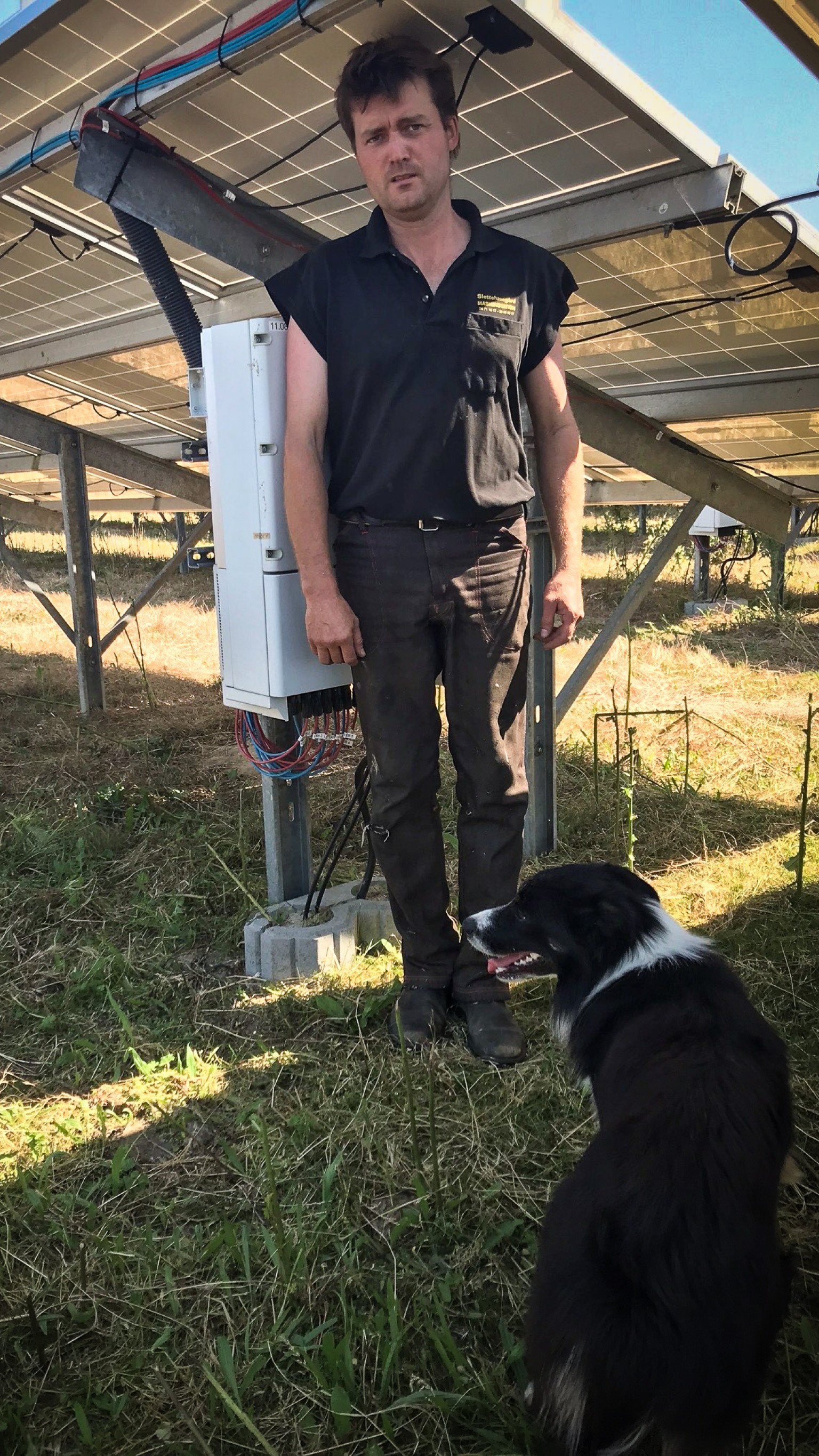 Fåreavler Rune Ploug er her på besøg hos sine får i Eurowinds VE-park i Horslunde på Lolland