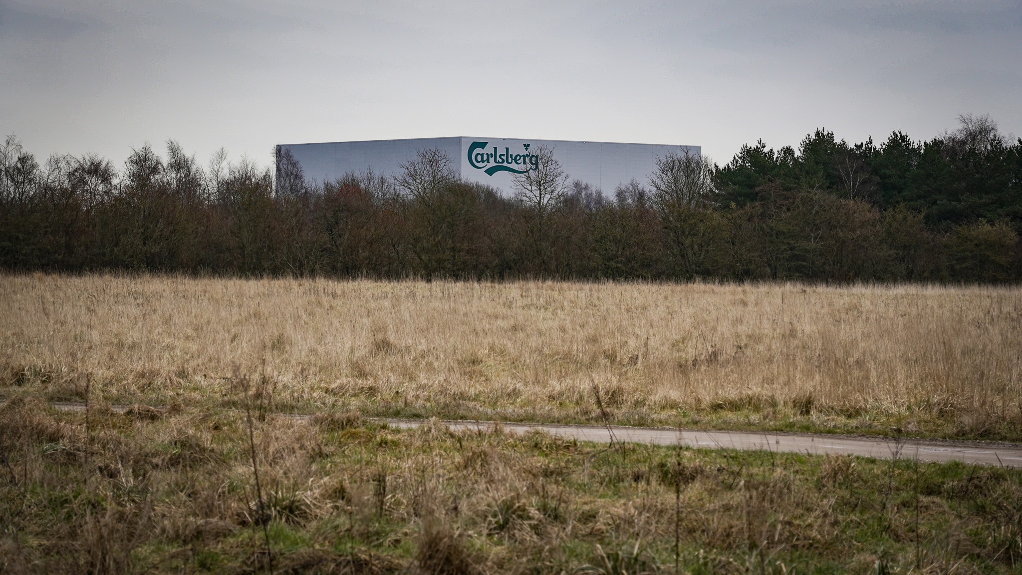 I Carlsbergs seks principper for regenerativt landbrug anbefaler man
