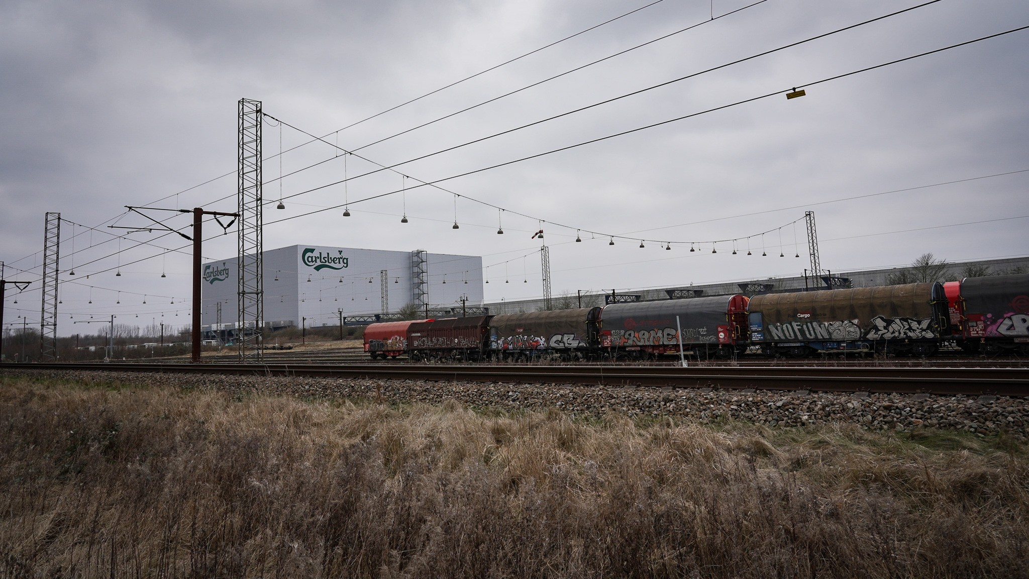 Carlsbergs Bryggeri i Fredericia bryggede tre mio. liter regenerativt øl på den maltbyg, de i 2024 købte af de to landmænd Kaare Larsen og Søren Ilsøe