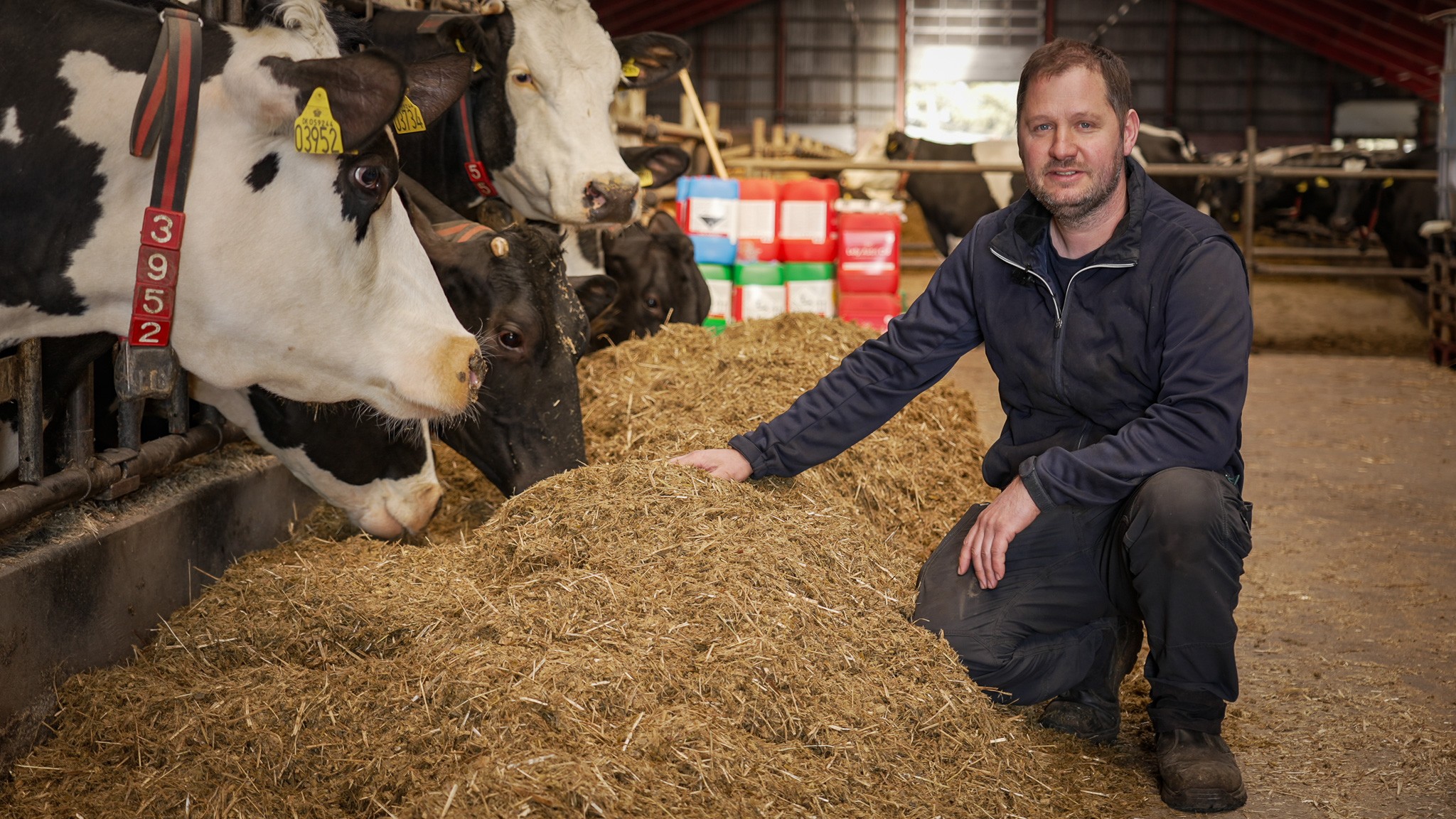 Økolog Søren Just i sin antibiotikafrie besætning