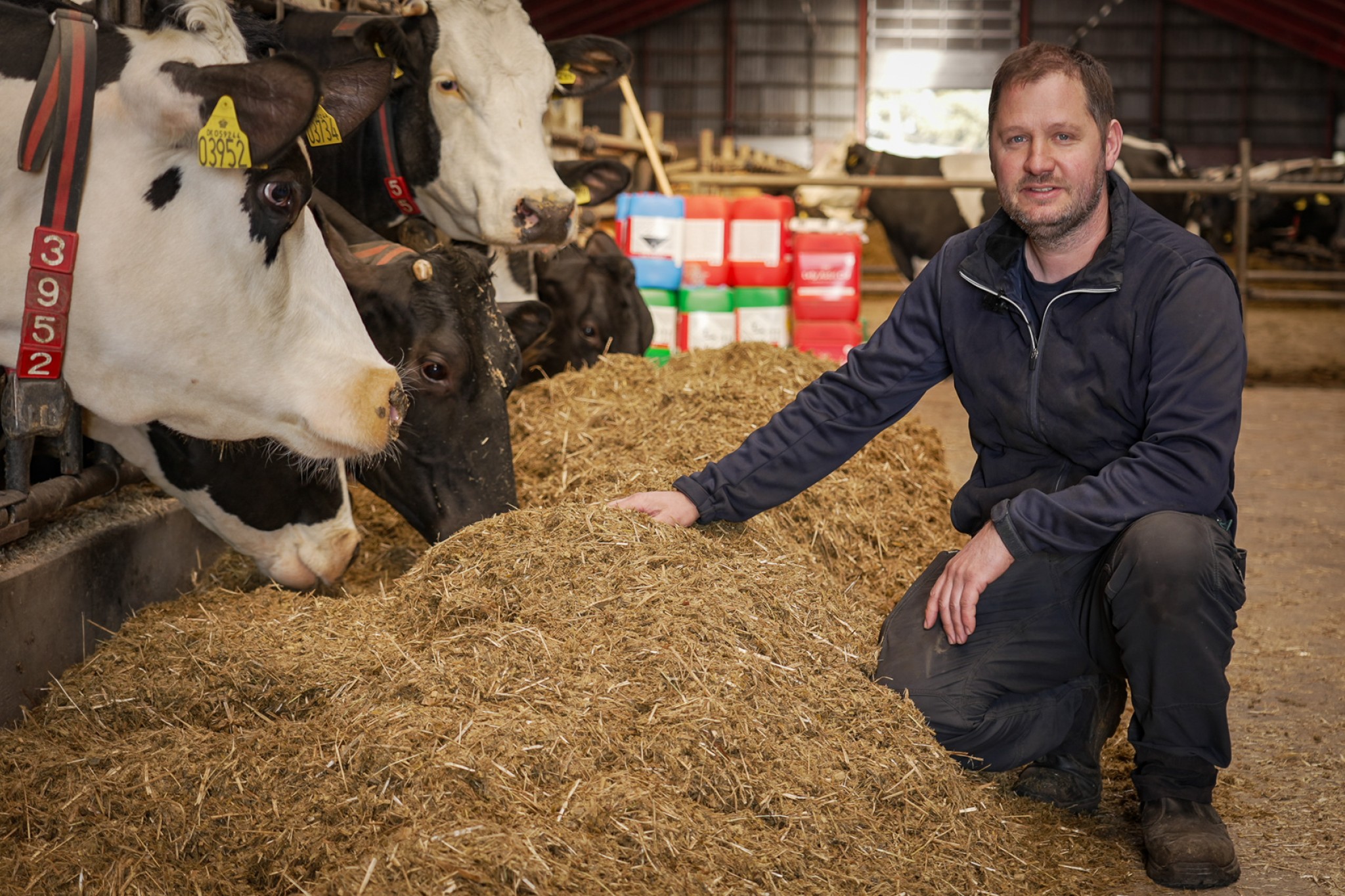Økolog Søren Just i sin antibiotikafrie besætning
