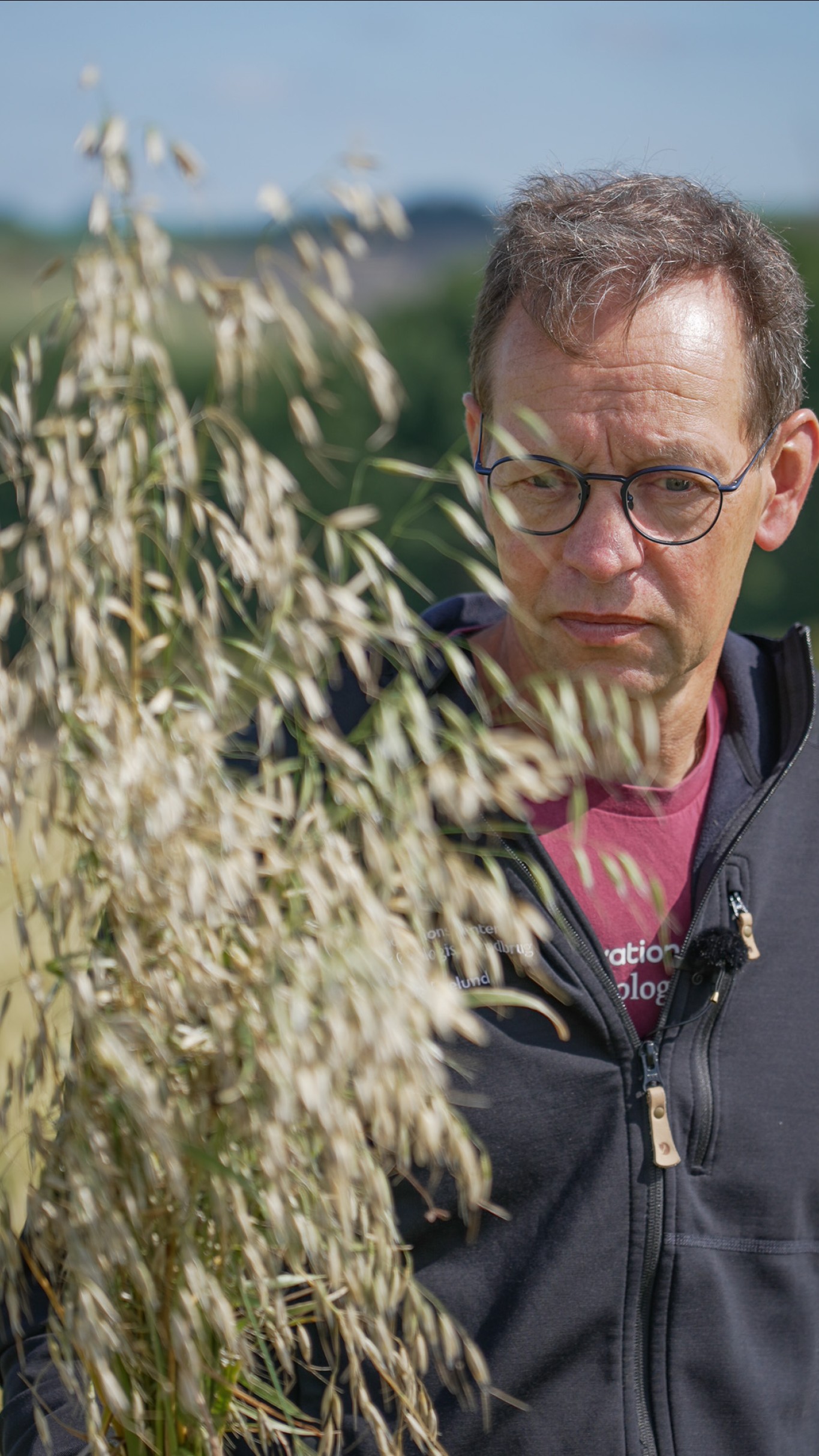 Specialkonsulent Lars Egelund Olsen har selv indsamlet ukrudt, der til forveksling ligner en havreneg, og som altså selv kan flytte frøene og sprede generne, hvis ikke planterne fjernes