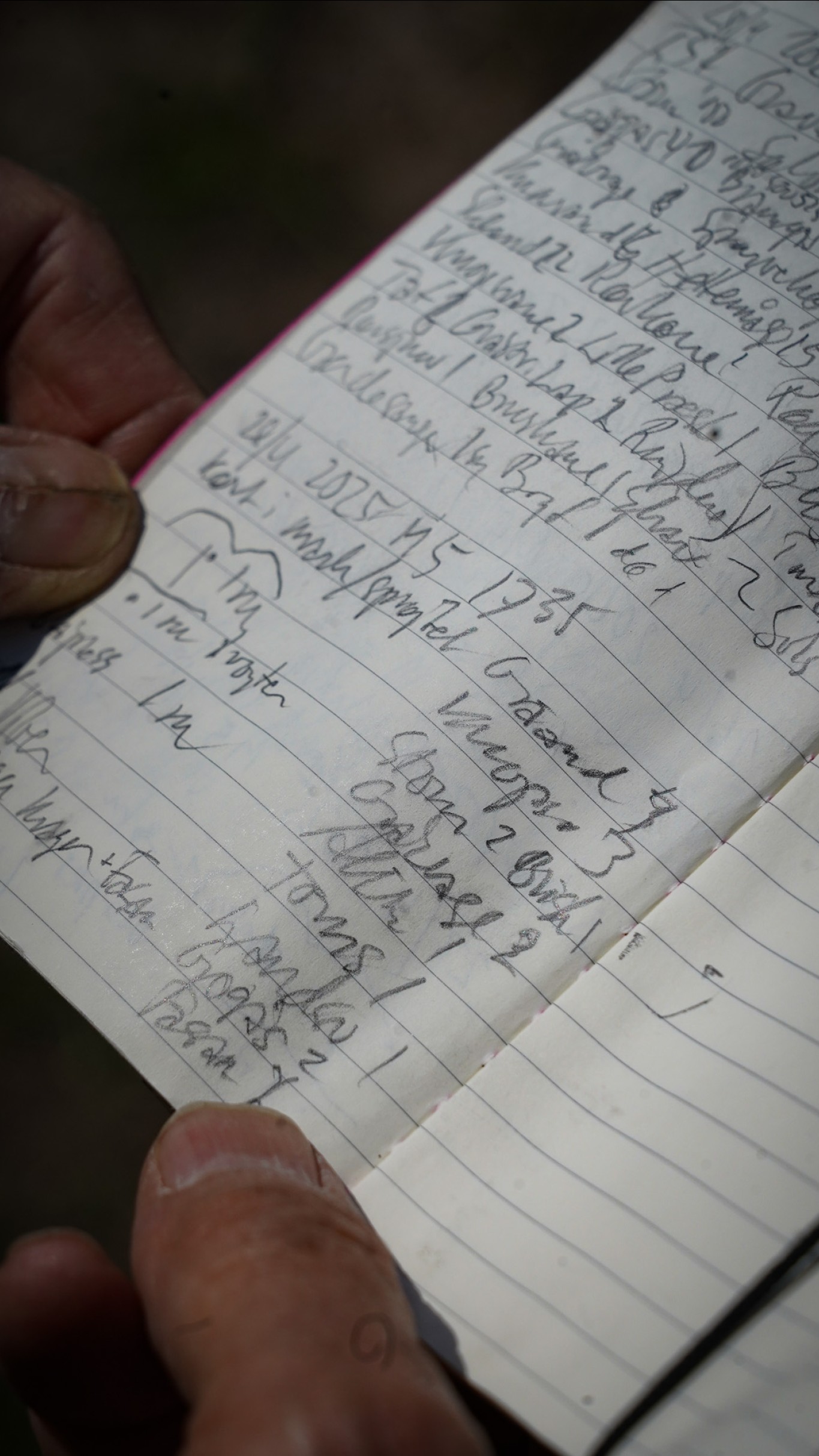 Niels Andersen registrerer undervejs på ruten punkttællinger i sin notesbog. Tre gange om året tager han ud på samme rute