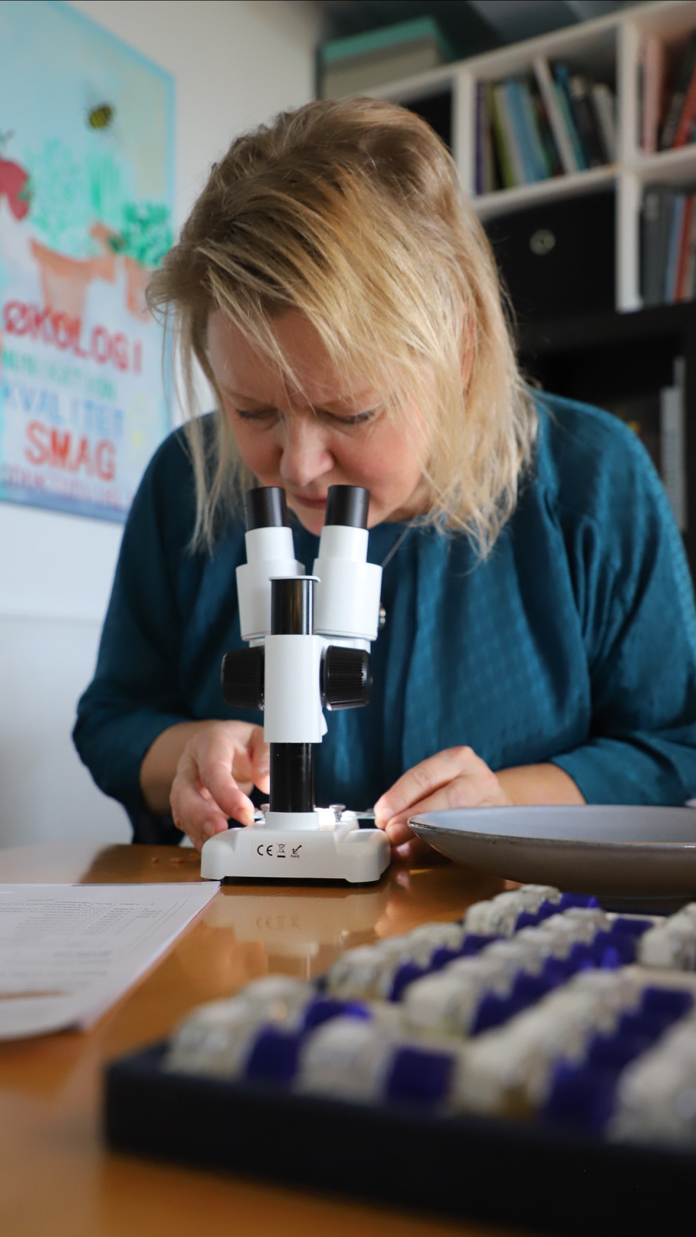 Lisbeth Ankersen er uddannet kemiker og har arbejdet mange år i fødevare- og medicinalindustrien. Her er havren under lup før prøvesmagningen
