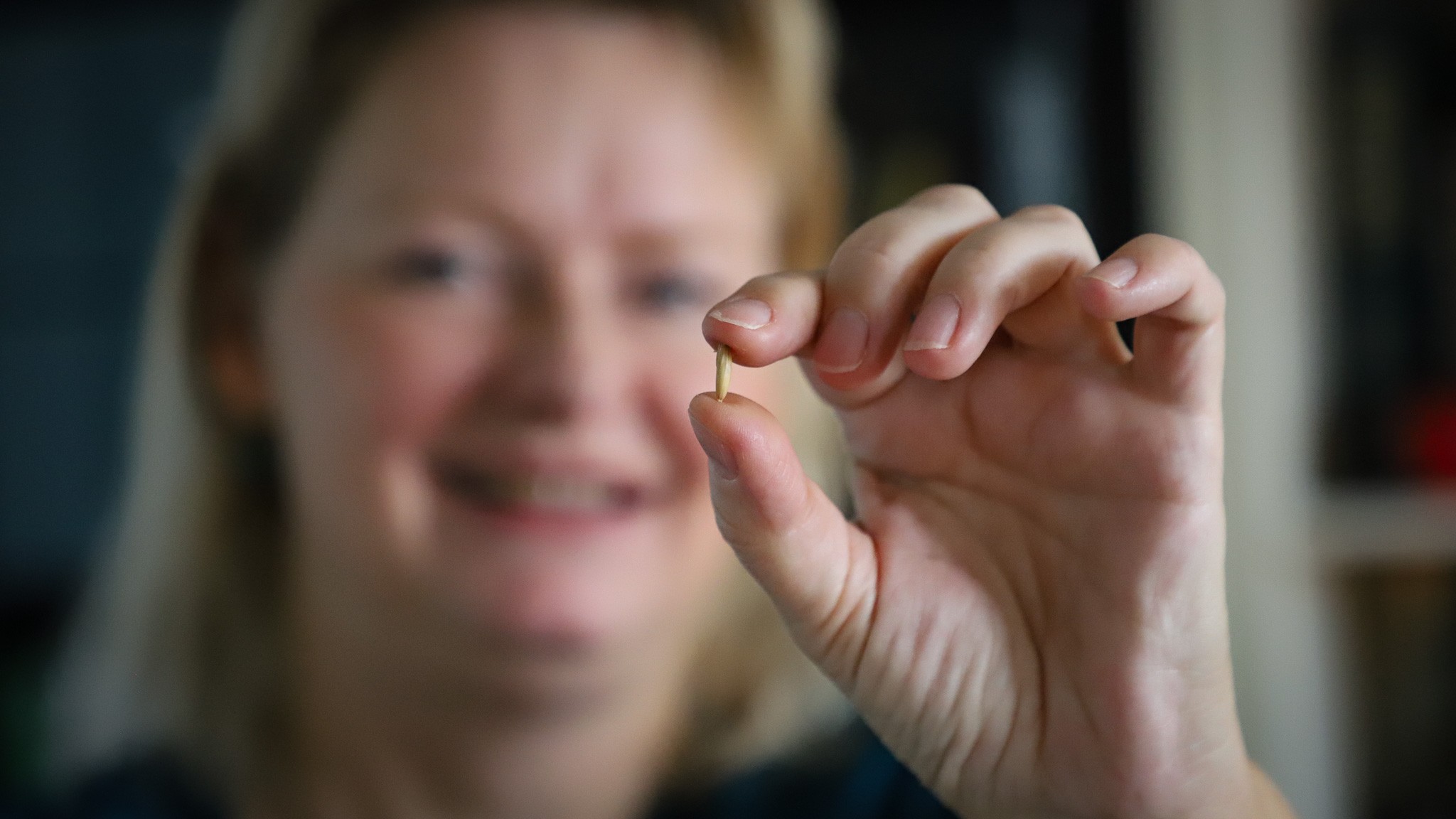 Havrekerne til sprøvesmagning