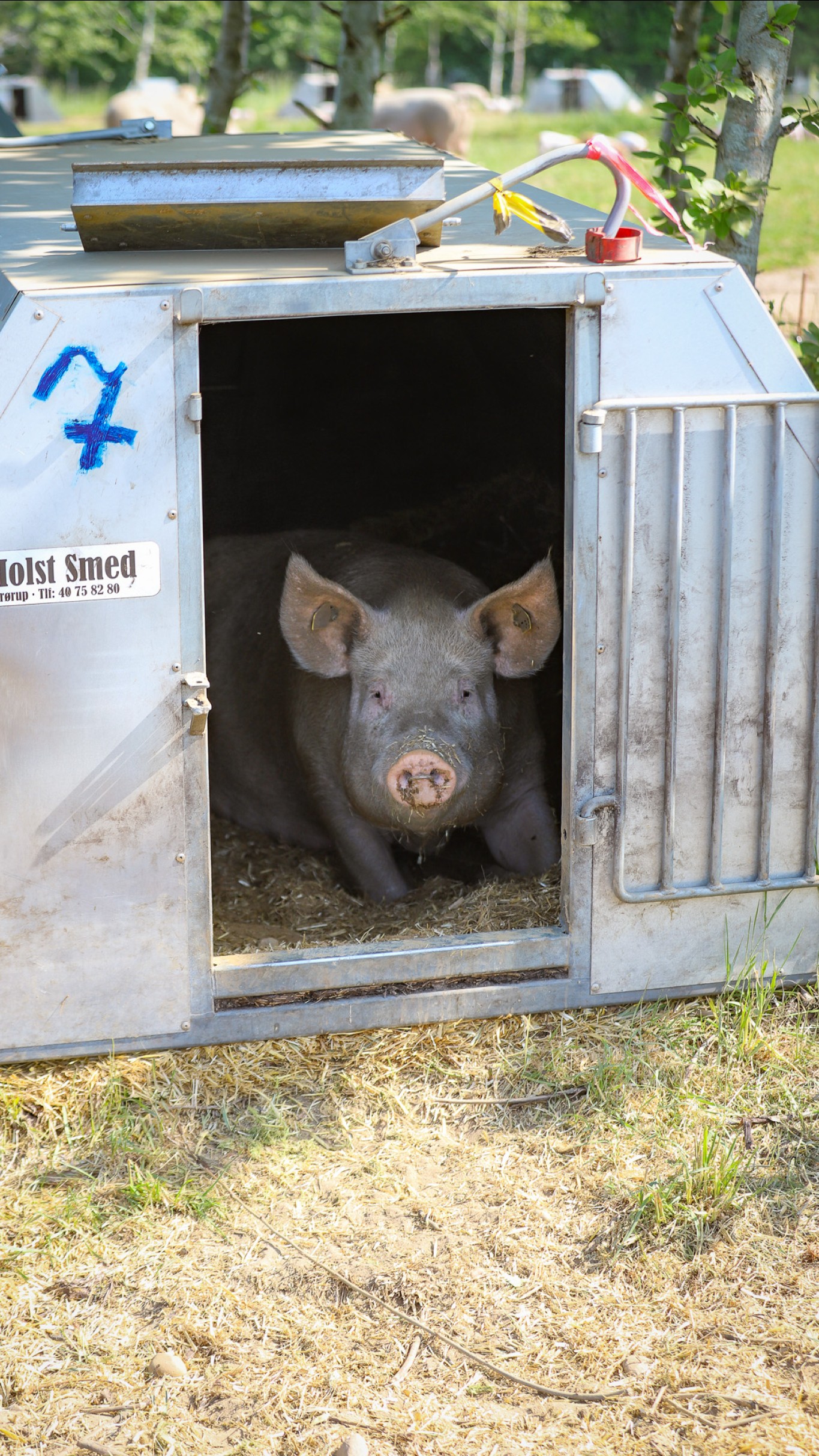 Det kan være en god ide at have to åbninger i farehytterne, så der kan sikres ventilation