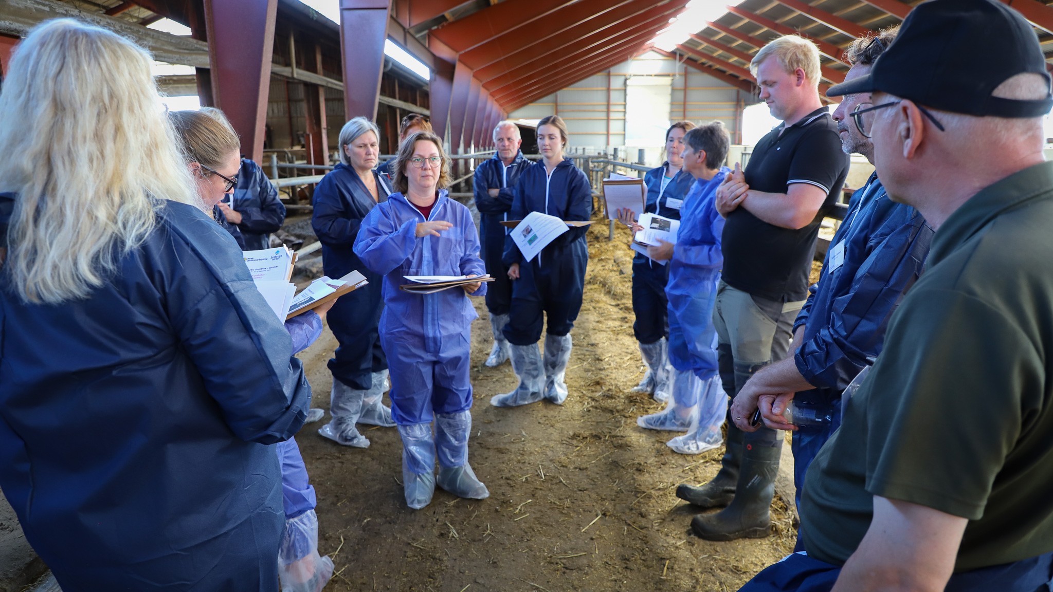 Specialkonsulent Iben Alber Christiansen fra Innovationscenter for Økologisk Landbrug var med på besøget i Holland i 2018 - og her forklarer hun 18 skandinaviske kvægkonsulenter om ko-kalv-systemet hos Esben Helms på Sommerbjerg