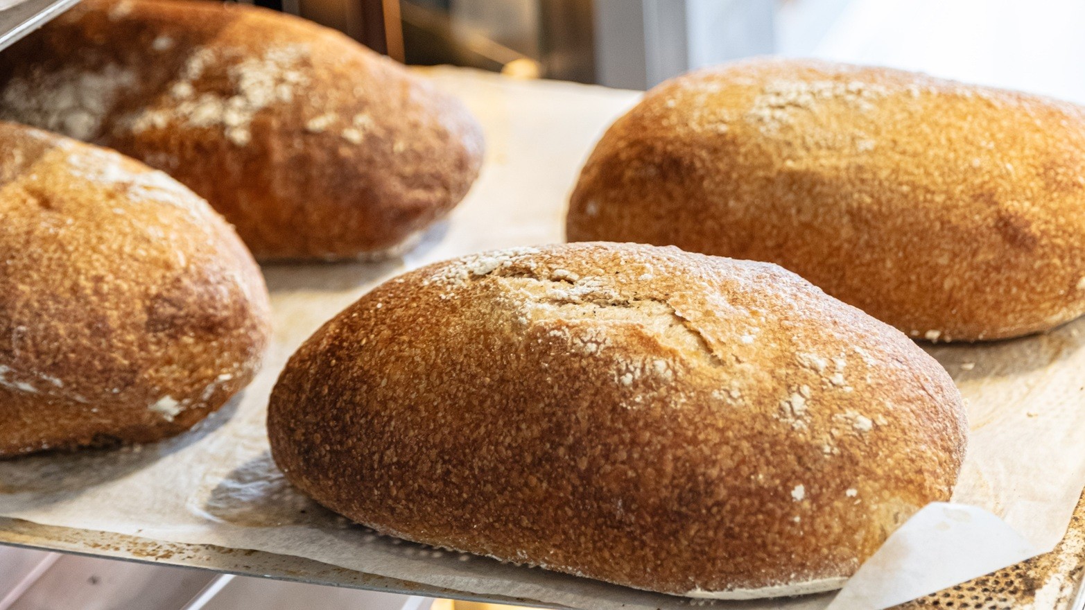 Nybagt brød i ovn