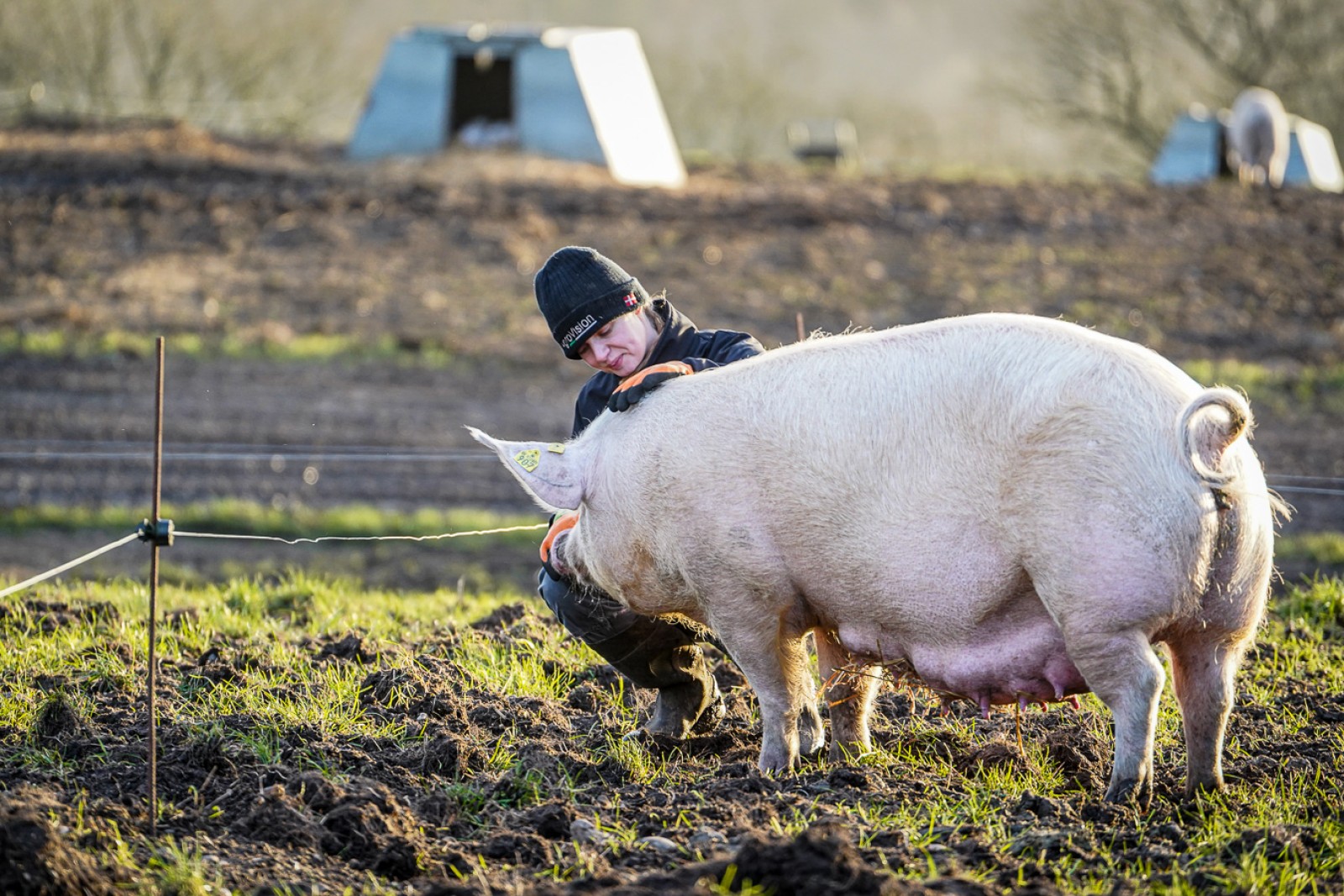 Mathilde sidder på hug på en mark og aer en o
