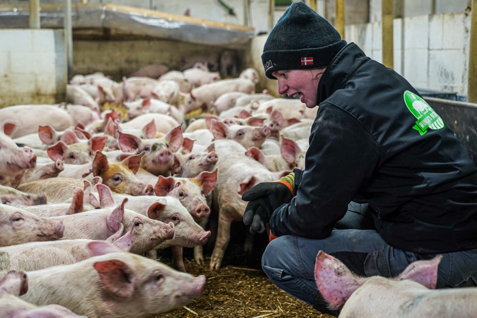 Mathilde sudder på hug i stalden og er omringet af smågrise