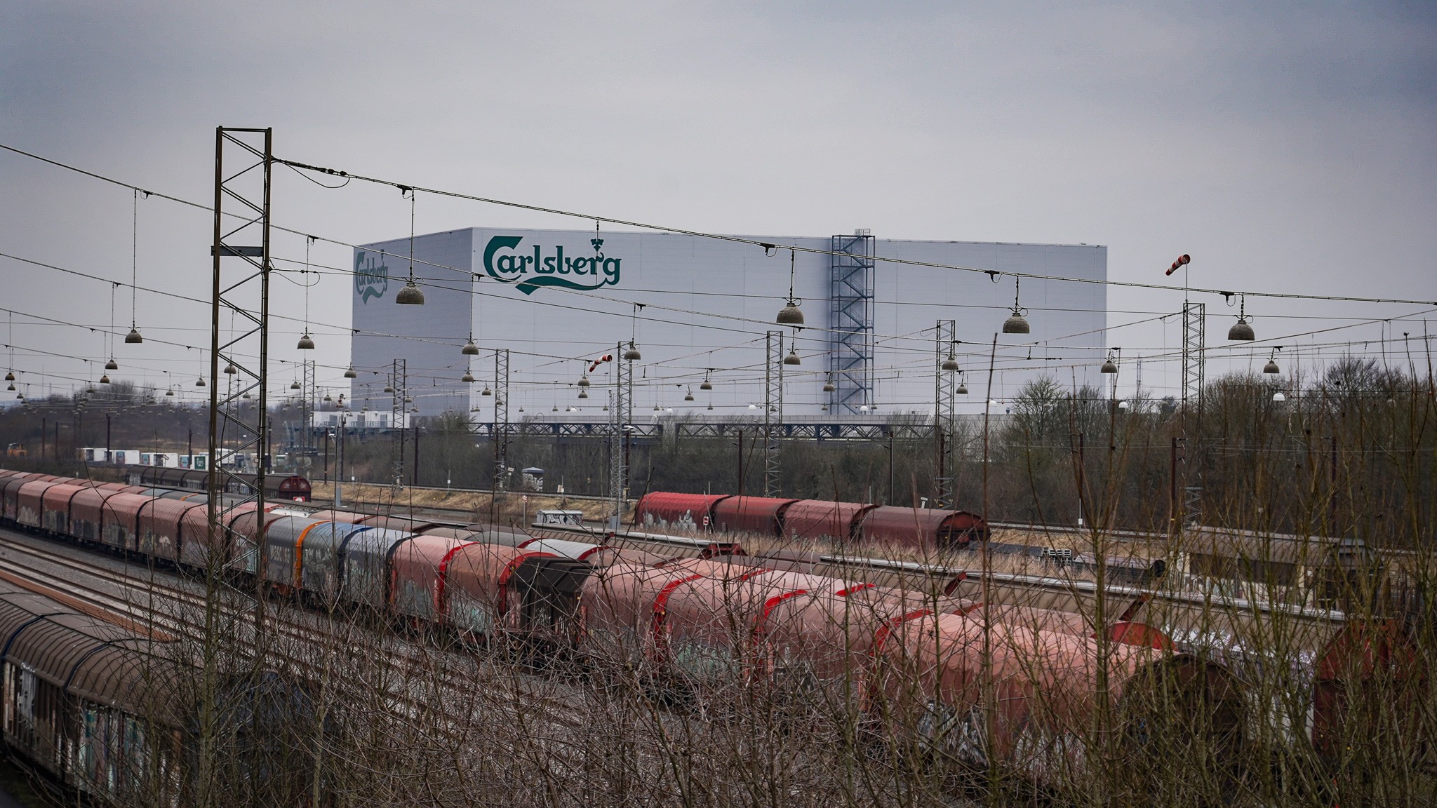 Carlsberg