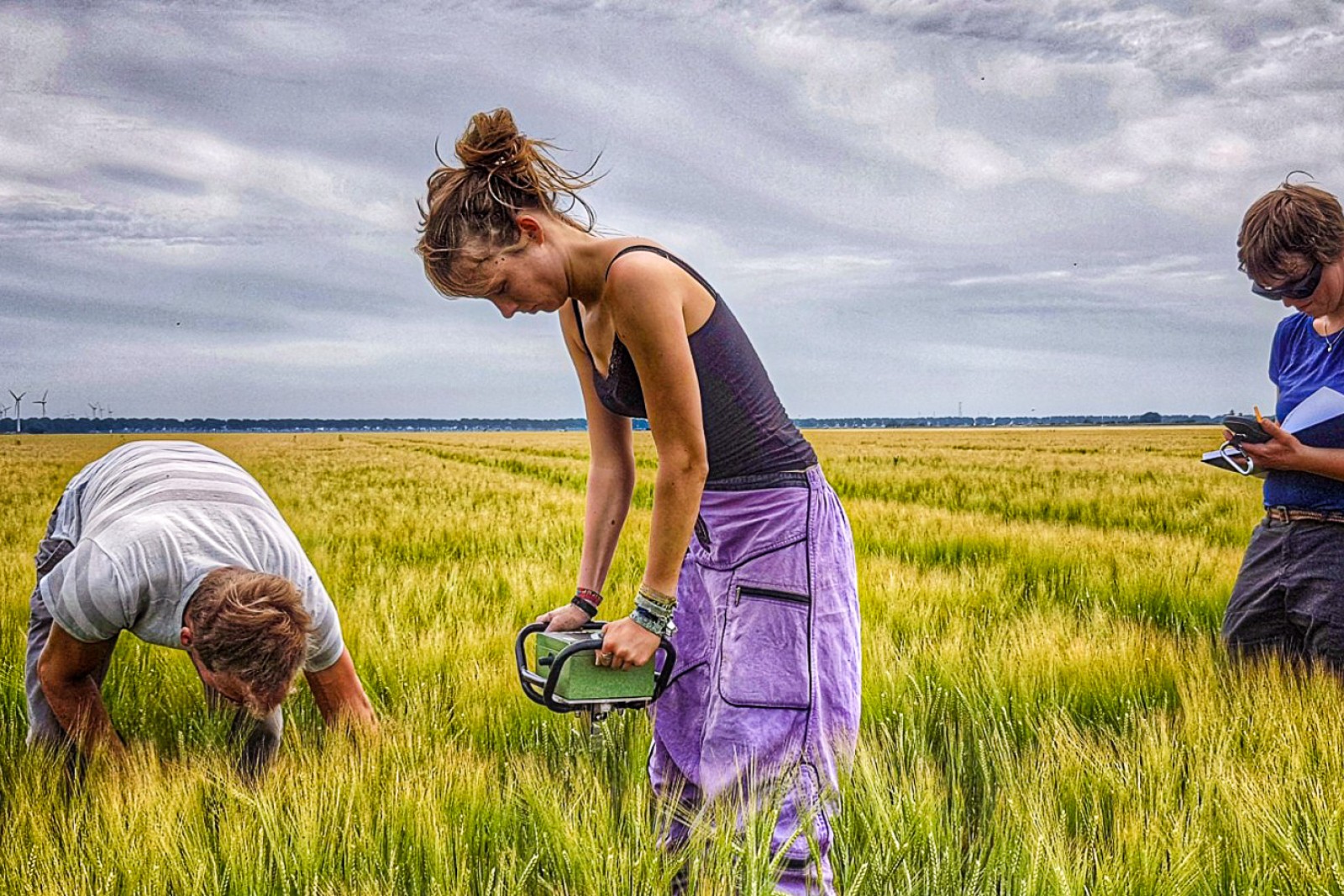 Tre forskere står i en mark og tager prøver