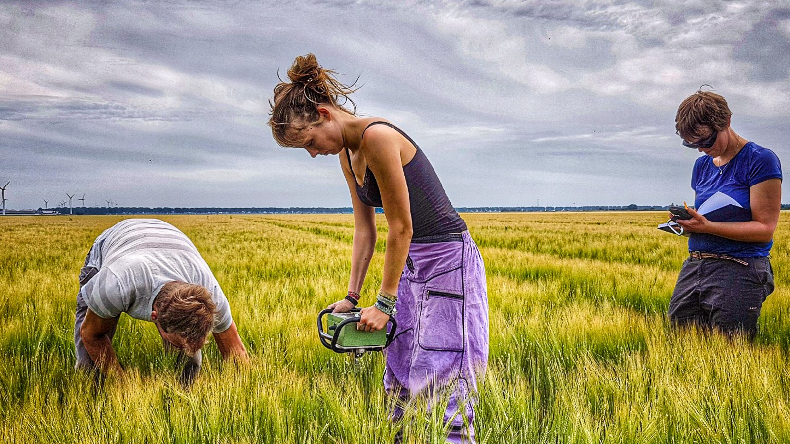 Tre forskere står i en mark og tager prøver