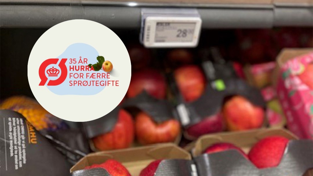Økologisk Landsforening har lavet en toolbox med masser af skilte og plakater m.m., som kæderne kan downloade og bruge rundt om i butikkerne for at fejre Ø-mærket