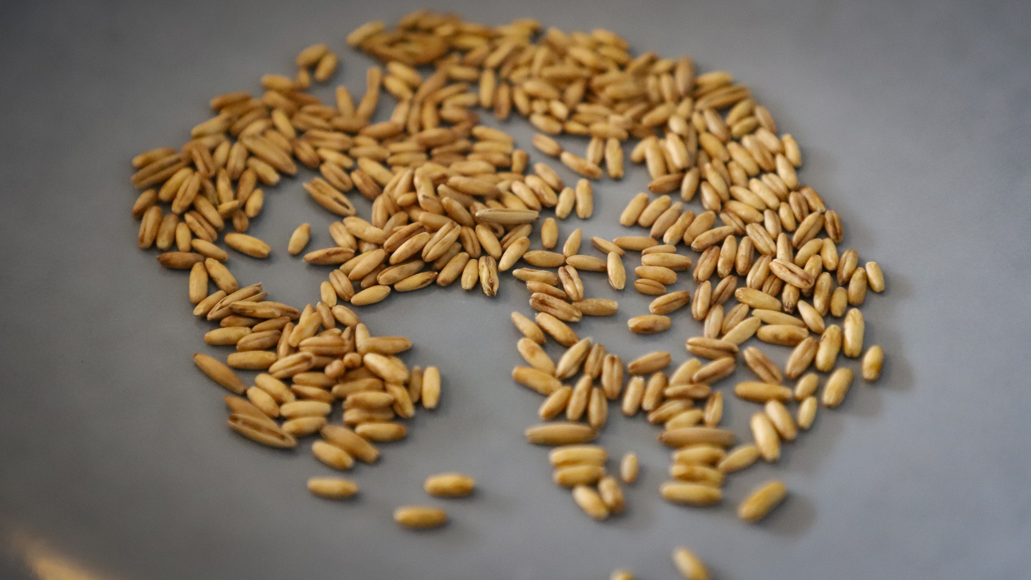 Havrekerner ligner havrekerner, men der kan være store smagsforskelle fra sort til sort. Der kan også være forskel, alt efter om de er dyrket økologisk eller konventionelt