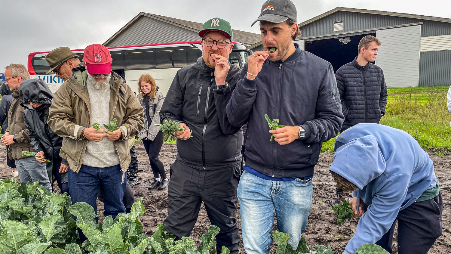 »Det er bare i orden. Lækkert,« sagde gastronomlærer Stephan Behnke t.h. og stoppede en ny buket bimi i munden, da elever og undervisere bliver sluppet løs i marken med de sprøde aspargesbroccoli hos Axel Månsson, som er landets største producent af økologisk salat, kål og grøntsager