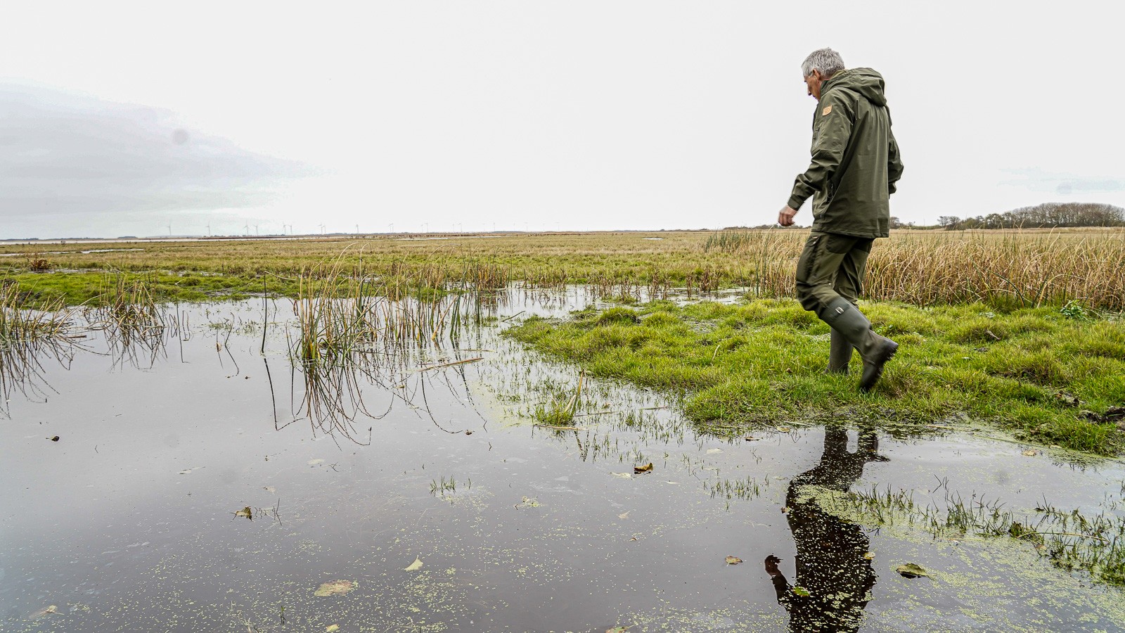 Ifølge Niels Dahlin Lisborg er ikke færre end 325 forskellige fuglearter registreret i området