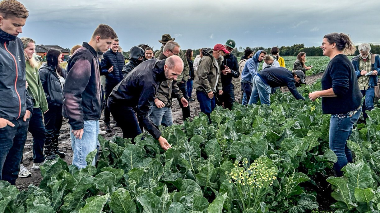Dorrit Andersen t.h. gav deltagerne et lynkursus i produktion af bimi, som er attraktiv, fordi Månsson kan høste på den samme plante op til fem gange