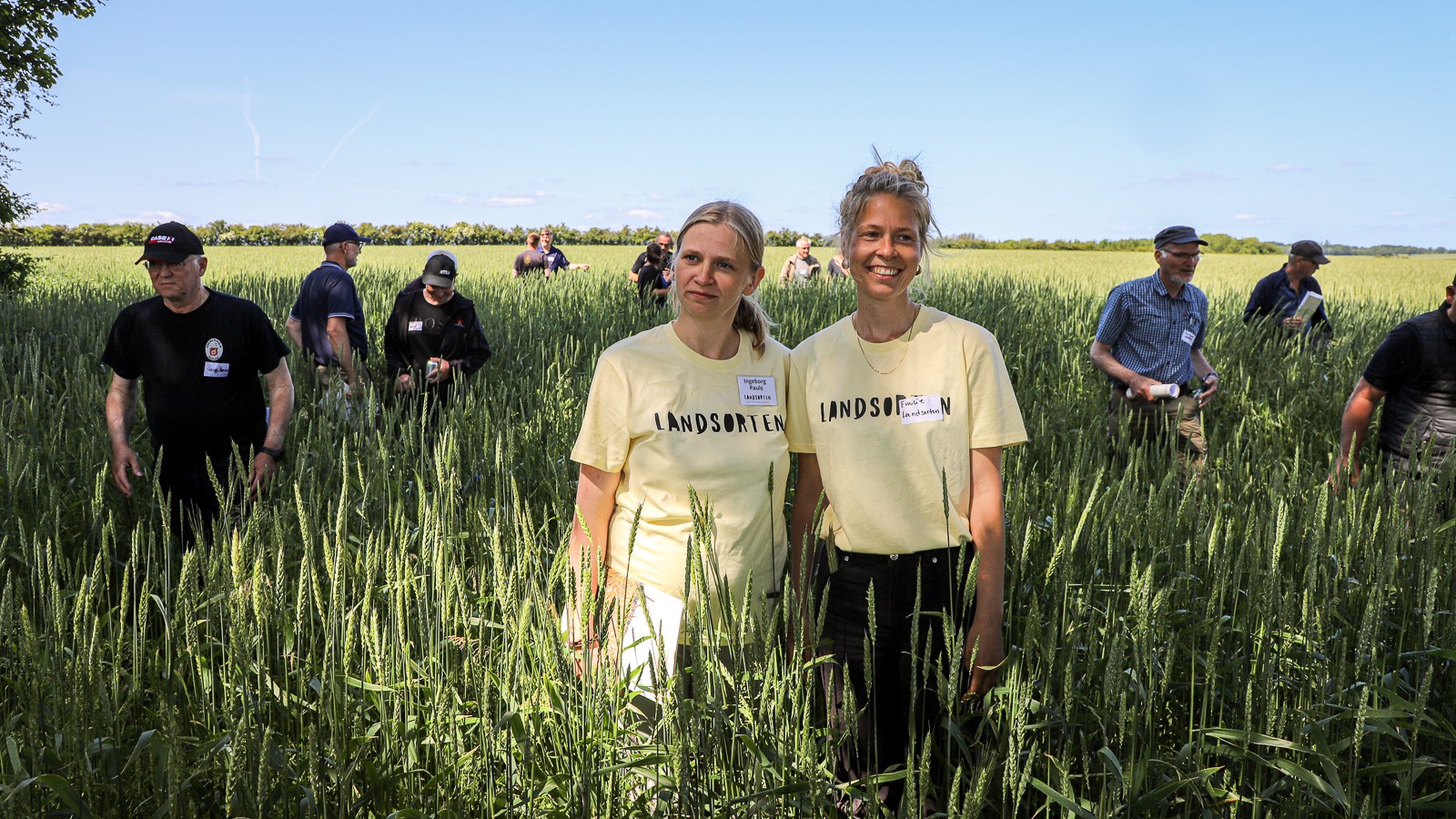 Parret bag mikromølleriet Vild Hvede, Ingeborg Pauls (t.v.) og Emilie Berning, har begge dedikeret sig til arbejdet med at udvikle nye økologiske kornsorter. De befinder sig godt i marken med Landsortens nye hvedesort, Flour Power, som er blevet en af deres favoritter hjemme i det nordfynske mølleri, hvor de modtager mange positive tilbagemeldinger fra kunderne