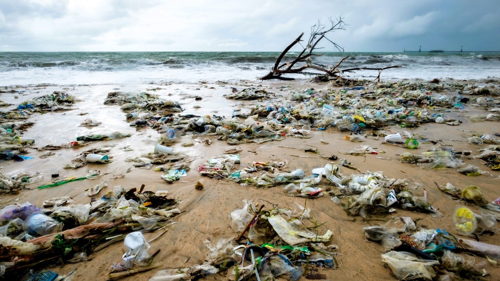 Store mængder plastaffald ligger på en strand