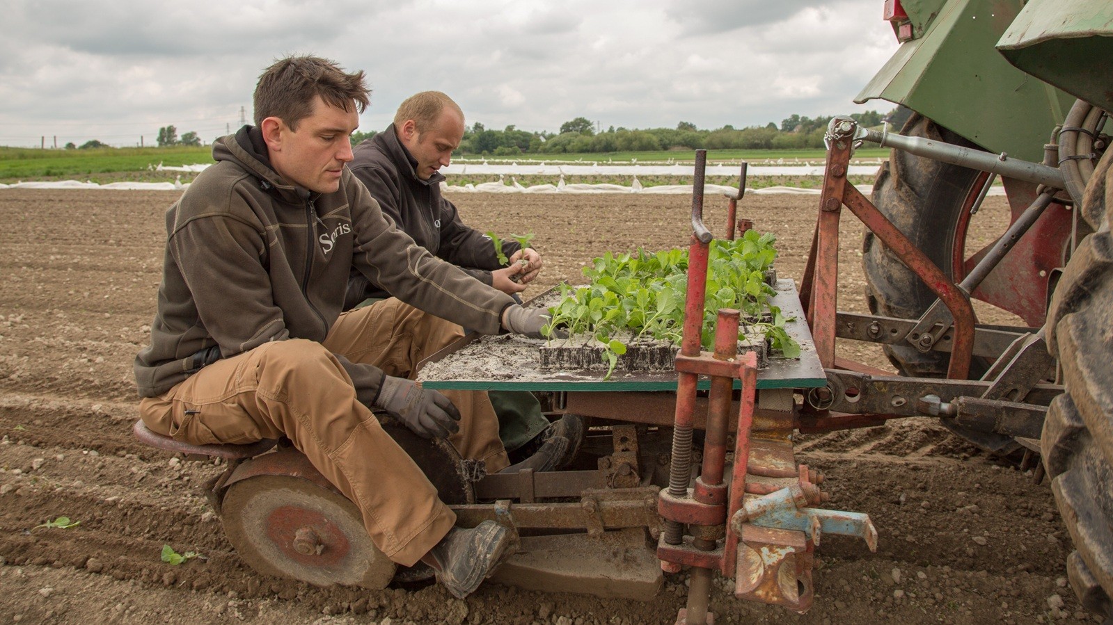 Markarbejde hos Søris