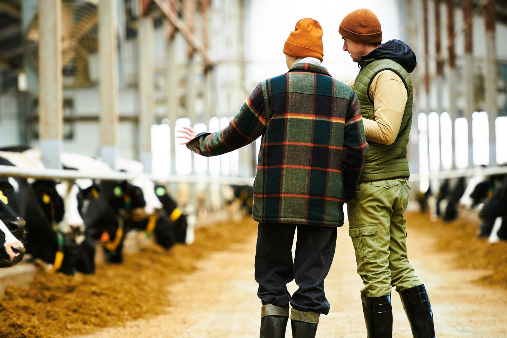 To personer står i en kostald som ved et kontroltilsyn