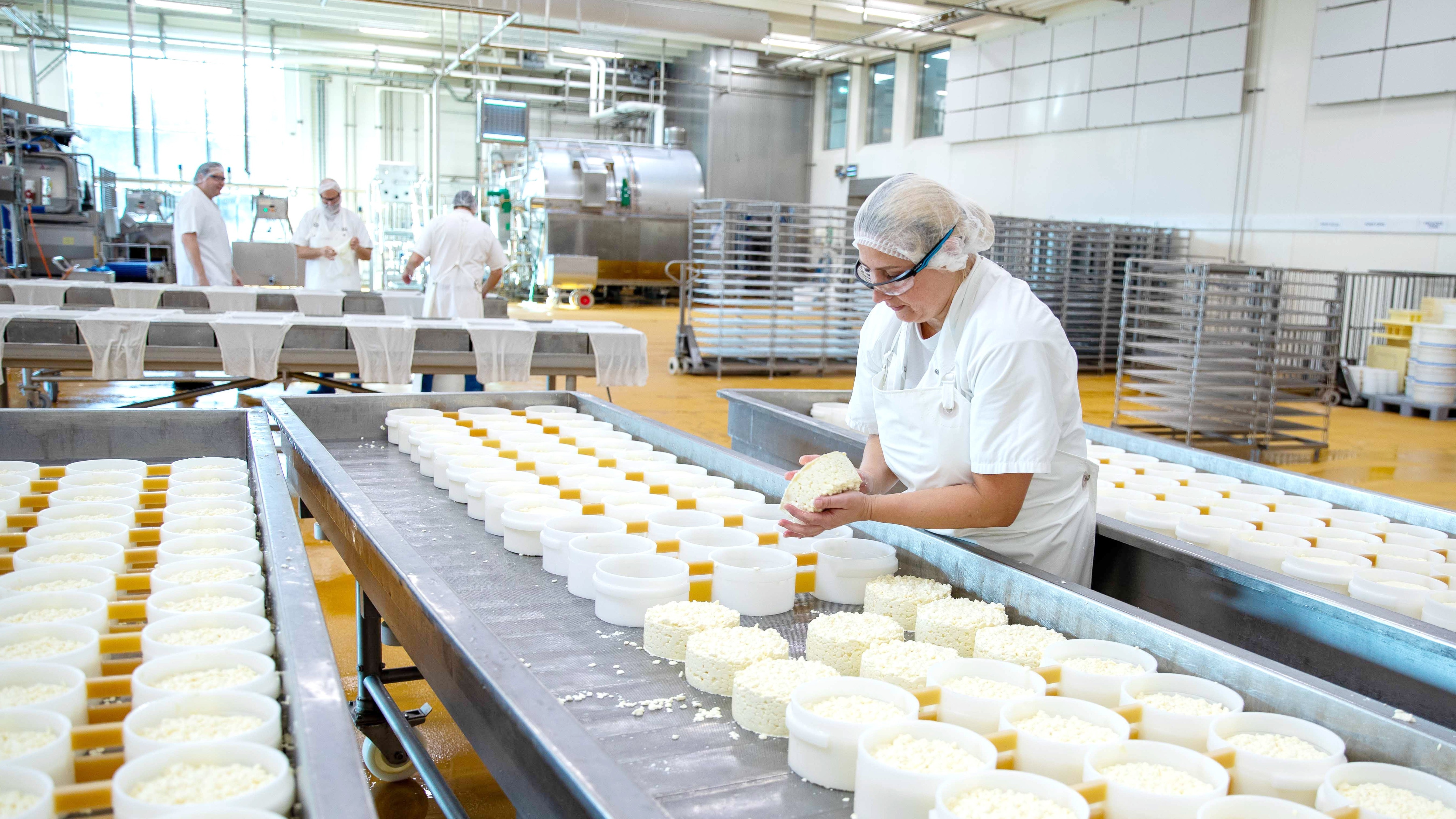 Går det som Thise håber, bliver der øget travlhed i Salling-mejeriets osteri, som i øjeblikket er i færd med at installere en ny produktionslinje