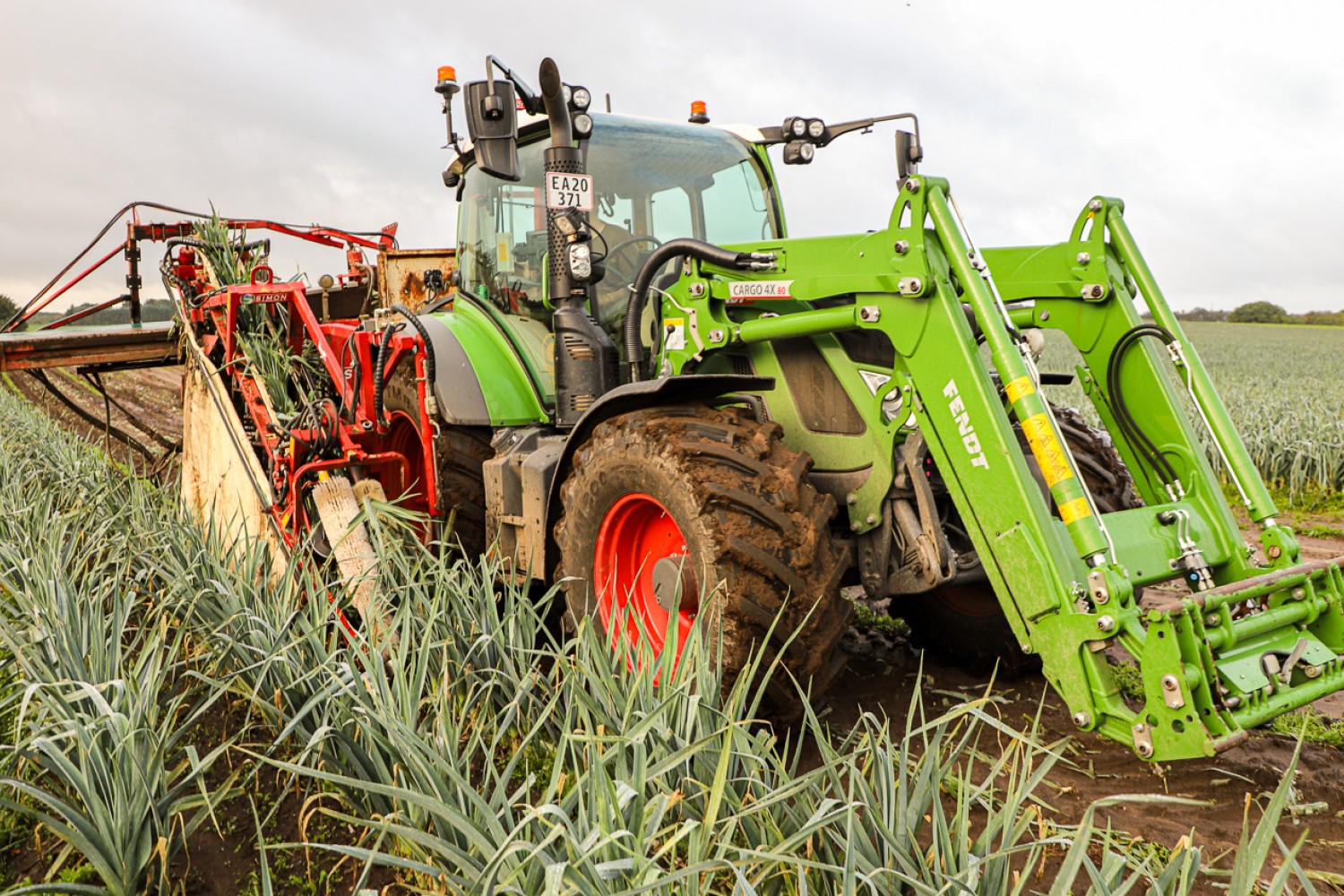 Traktor høster porrer på Tjele Gods