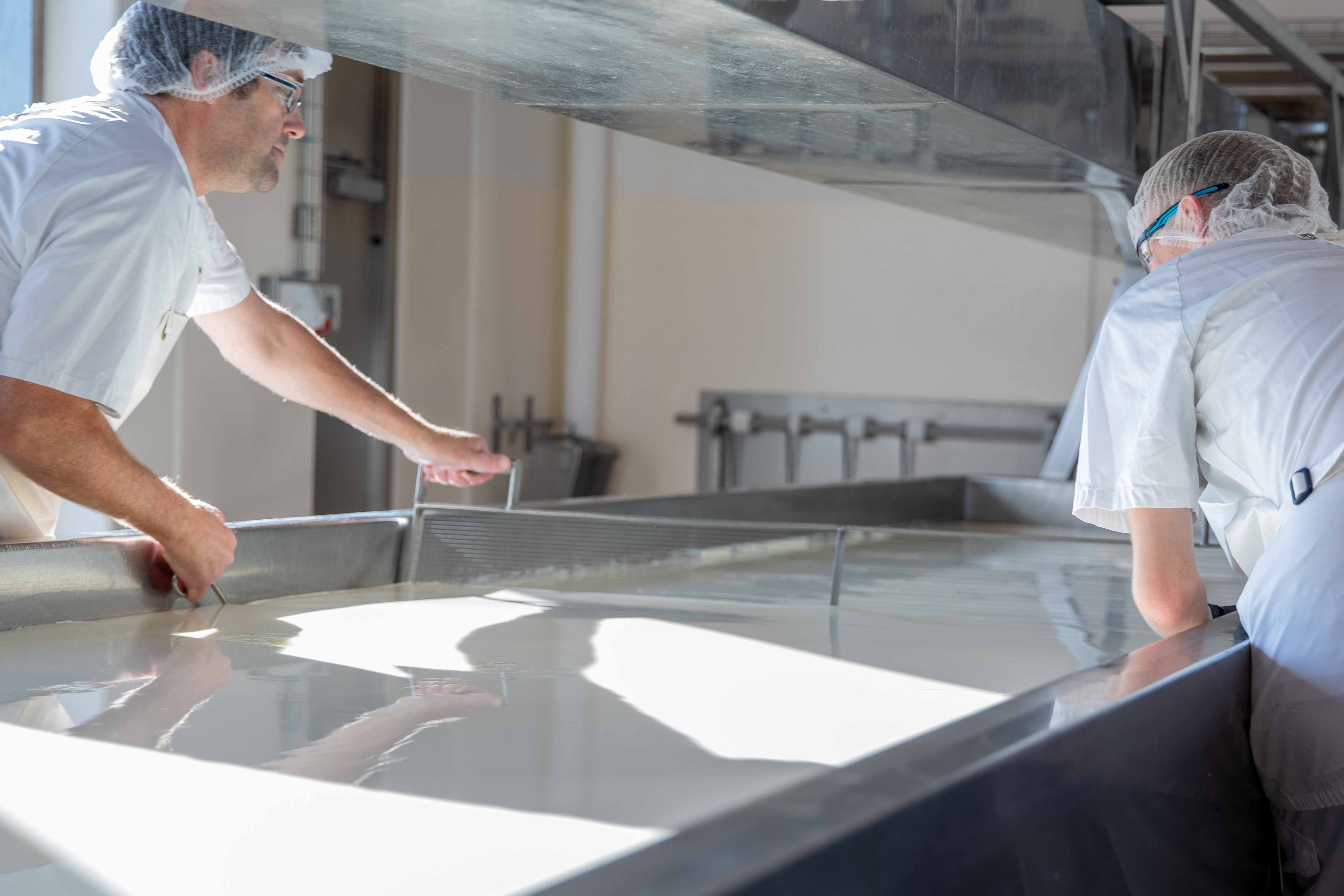 Arbejde i osteroet på Thise