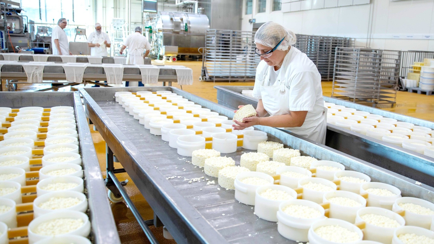Produktion af ost hos Thises